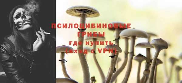 spice Белокуриха