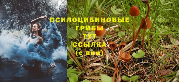 винт Бугульма
