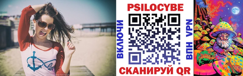 Галлюциногенные грибы Psilocybe даркнет как зайти Дигора